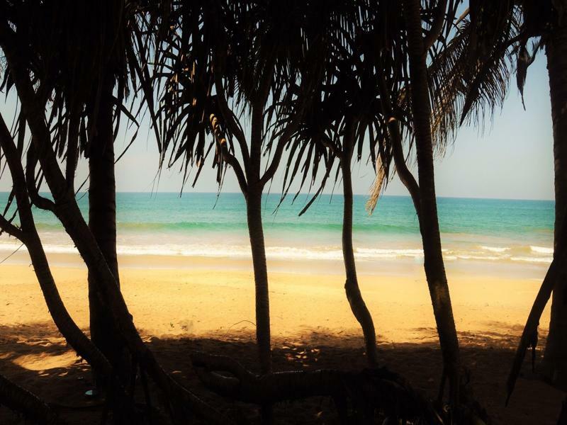 Serendib Beach Hotel Bentota Exteriér fotografie